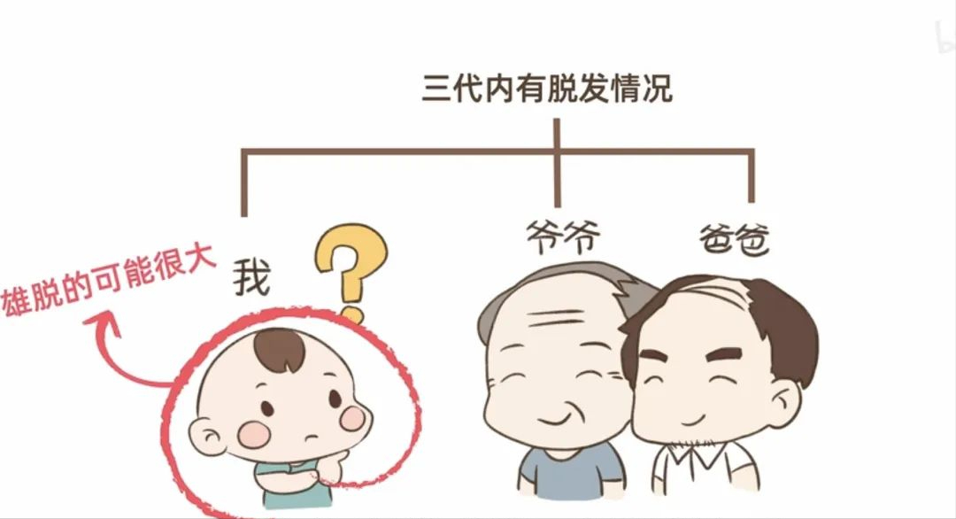 科普 | 如何判断脂溢性脱发？