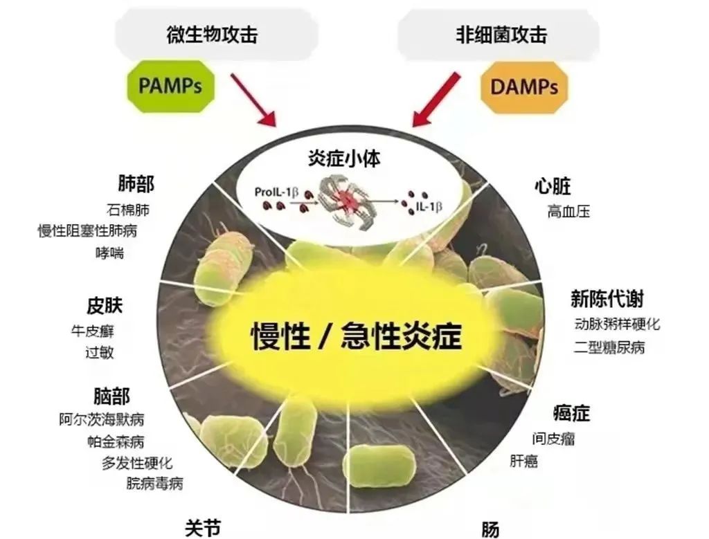 细胞专刊丨疾病的罪魁祸首，干细胞有效减轻炎症反应(图2)